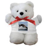Baby Seal Watercolor Teddy Bear by NANCE